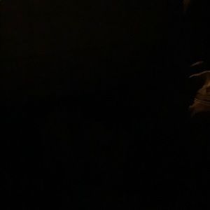 Meet your Posher, Ireyna